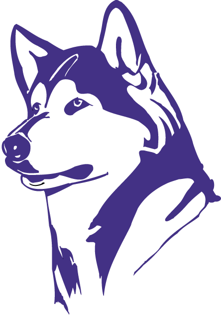 Washington Huskies 1995-2000 Partial Logo t shirts iron on transfers v2